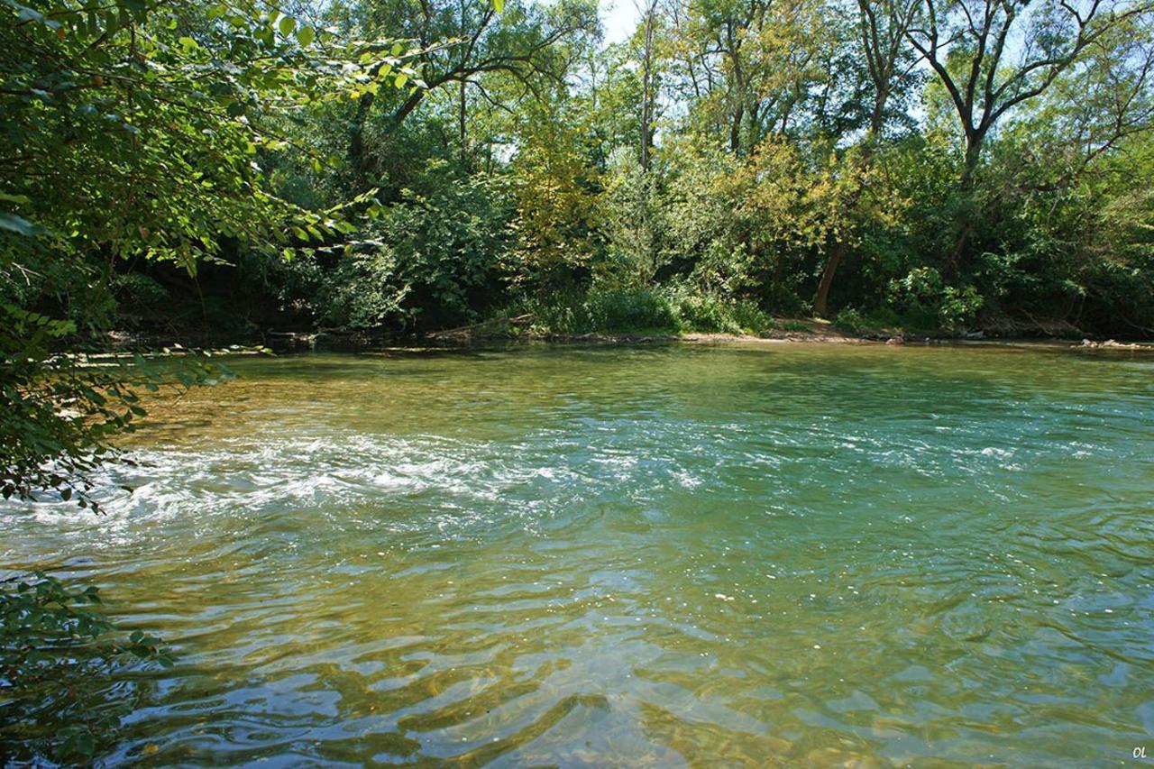 Appartamento Vigne Et Cigale Le Thoronet Esterno foto